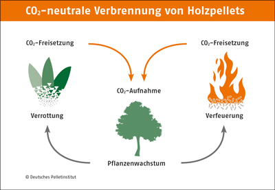 co2-kreislauf